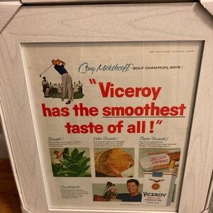 Brand new frame with vintage Viceroy print, 11x14 size in off white, glass frame